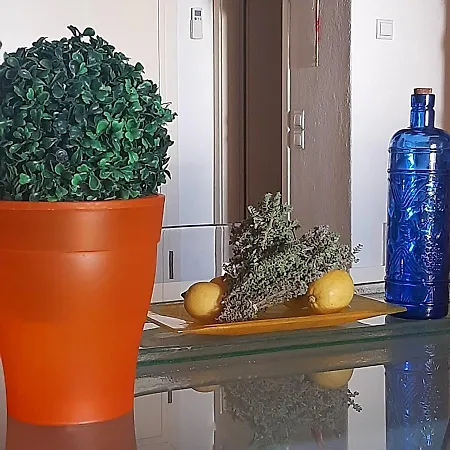 Holiday home Magic Mola Mola Kalyva