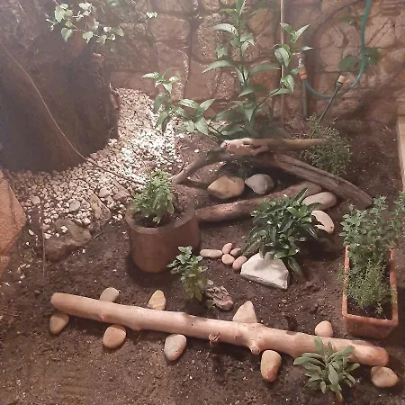 Magic Mola * Mola Kalyva