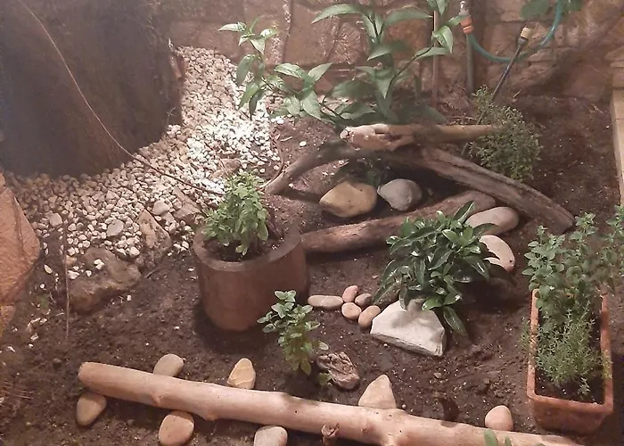 Magic Mola * Μόλα Καλύβα